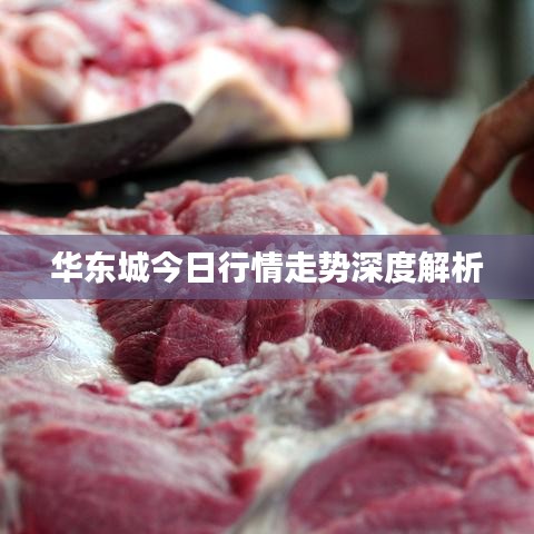 华东城今日行情走势深度解析