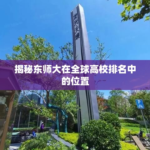 揭秘东师大在全球高校排名中的位置