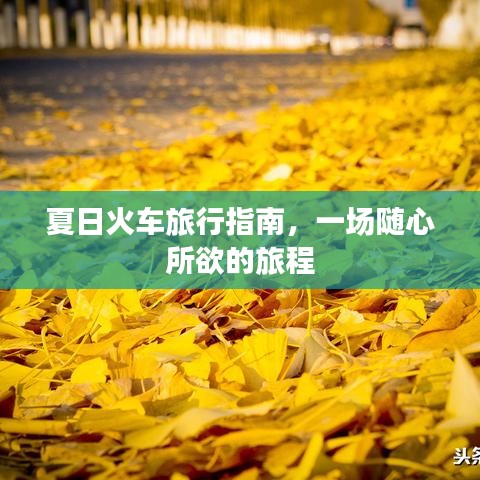夏日火车旅行指南，一场随心所欲的旅程