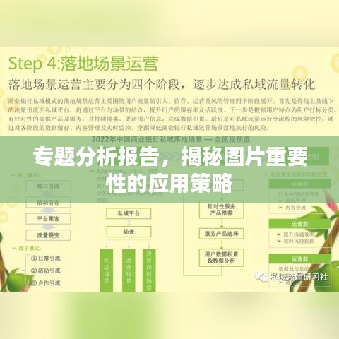 专题分析报告，揭秘图片重要性的应用策略