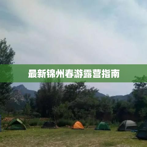 最新锦州春游露营指南