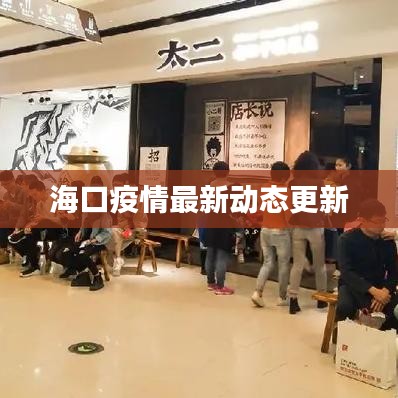 海口疫情最新动态更新
