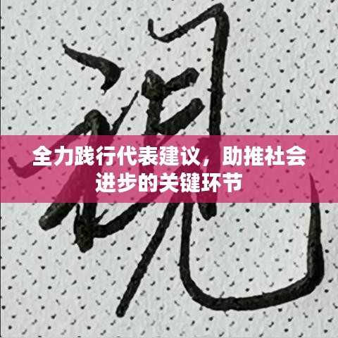 全力践行代表建议，助推社会进步的关键环节