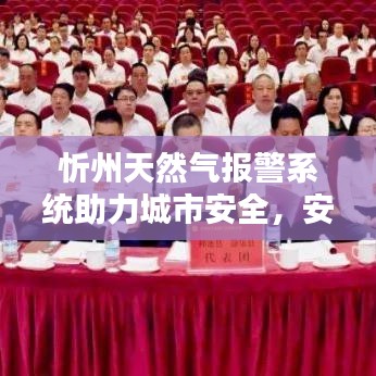 忻州天然气报警系统助力城市安全，安全护航新篇章开启