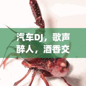 汽车DJ，歌声醉人，酒香交织的交响之夜