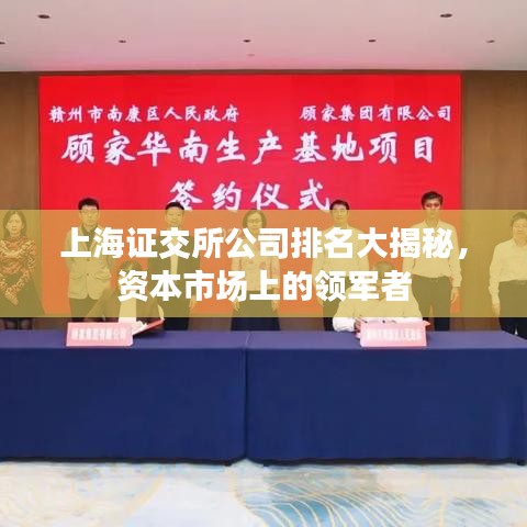 上海证交所公司排名大揭秘，资本市场上的领军者