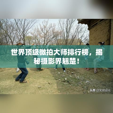 世界顶级微拍大师排行榜，揭秘摄影界翘楚！