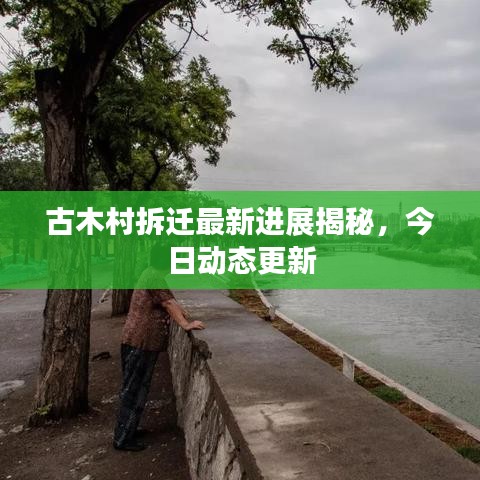 古木村拆迁最新进展揭秘，今日动态更新