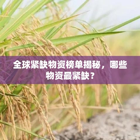 全球紧缺物资榜单揭秘，哪些物资最紧缺？