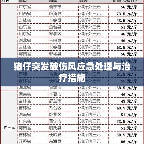 猪仔突发破伤风应急处理与治疗措施