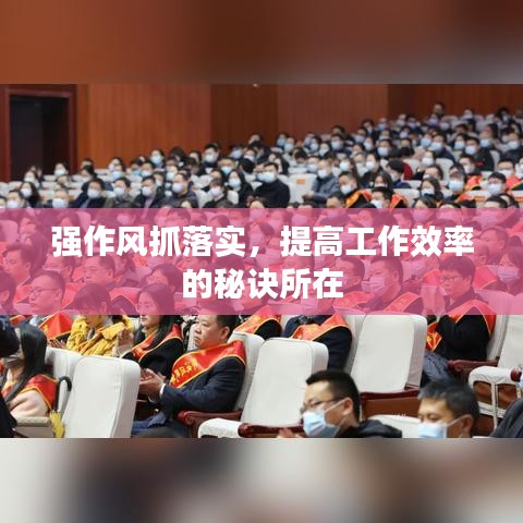 强作风抓落实，提高工作效率的秘诀所在