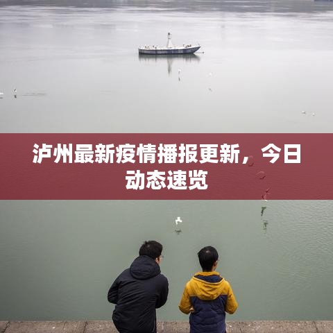 泸州最新疫情播报更新，今日动态速览