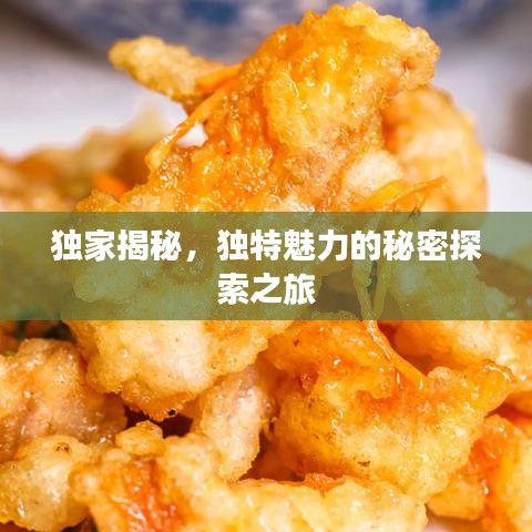 独家揭秘，独特魅力的秘密探索之旅