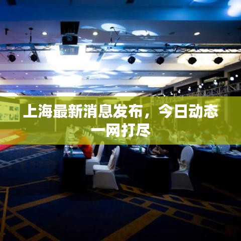 上海最新消息发布，今日动态一网打尽