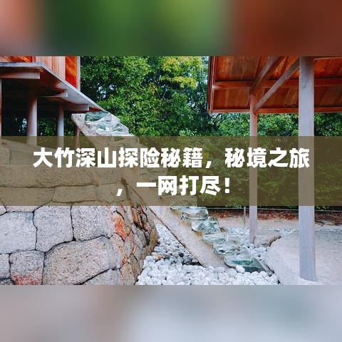 大竹深山探险秘籍，秘境之旅，一网打尽！