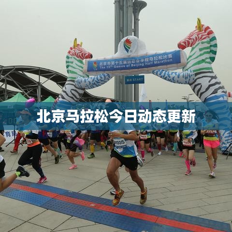 北京马拉松今日动态更新