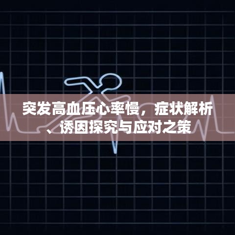 突发高血压心率慢，症状解析、诱因探究与应对之策