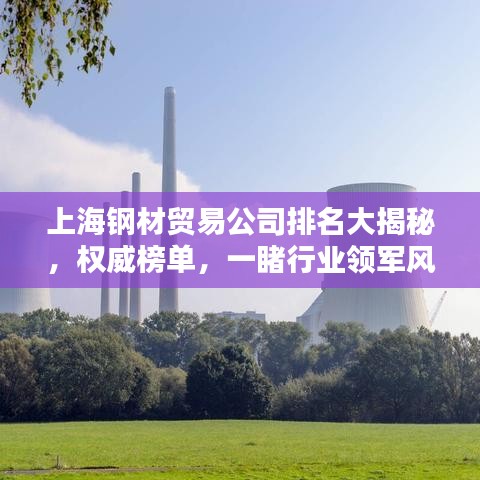 上海钢材贸易公司排名大揭秘，权威榜单，一睹行业领军风采！