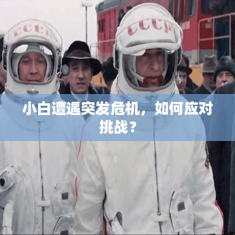 小白遭遇突发危机，如何应对挑战？