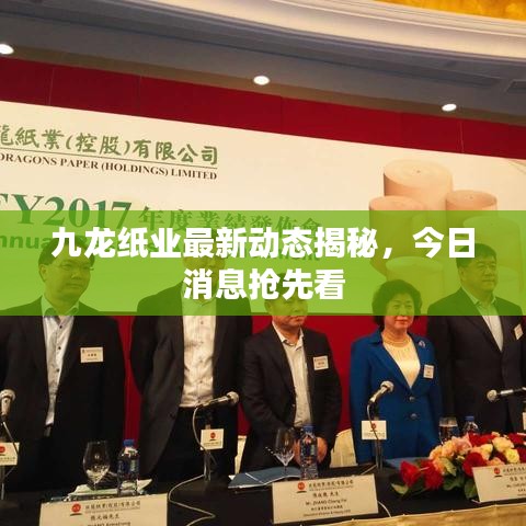 九龙纸业最新动态揭秘，今日消息抢先看