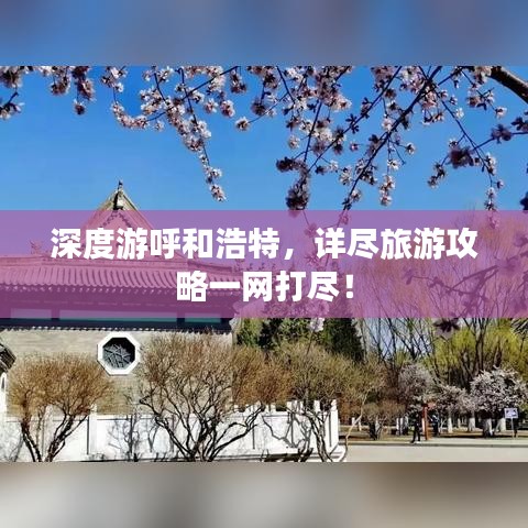 深度游呼和浩特，详尽旅游攻略一网打尽！
