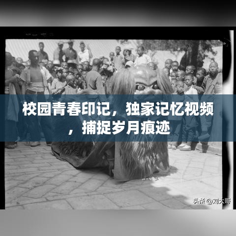 校园青春印记，独家记忆视频，捕捉岁月痕迹