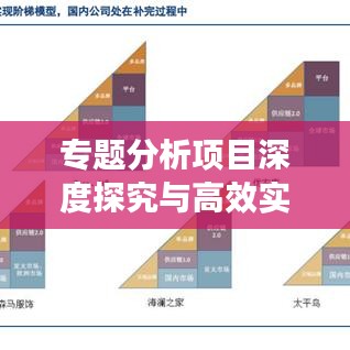 专题分析项目深度探究与高效实践策略