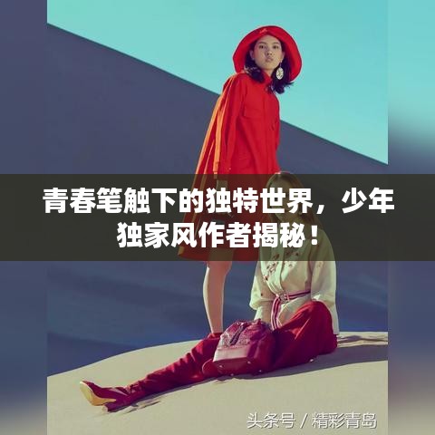 青春笔触下的独特世界，少年独家风作者揭秘！