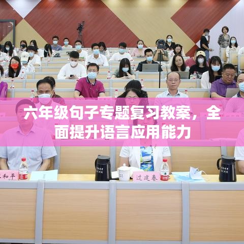 六年级句子专题复习教案，全面提升语言应用能力