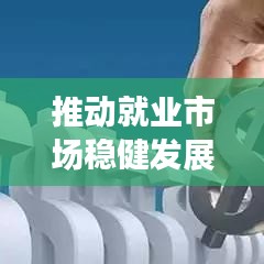 推动就业市场稳健发展的关键举措，落实就业政策工作成效见证奇迹