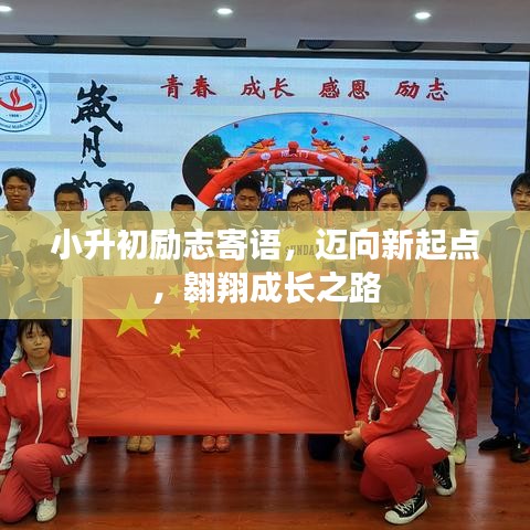 活物掠影 第8页