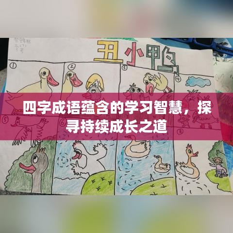 四字成语蕴含的学习智慧，探寻持续成长之道