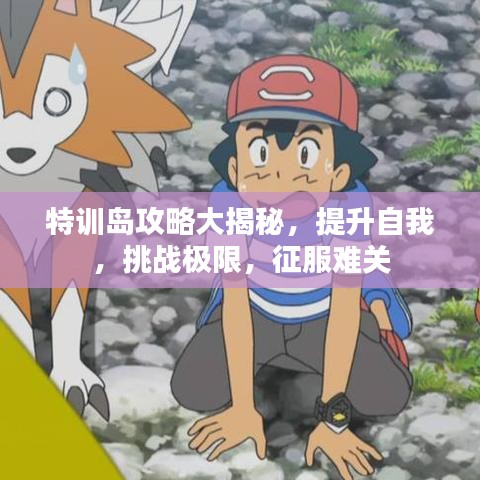 特训岛攻略大揭秘，提升自我，挑战极限，征服难关