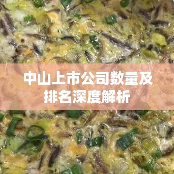 中山上市公司数量及排名深度解析