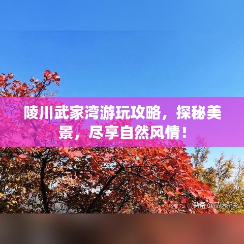 2025年5月24日