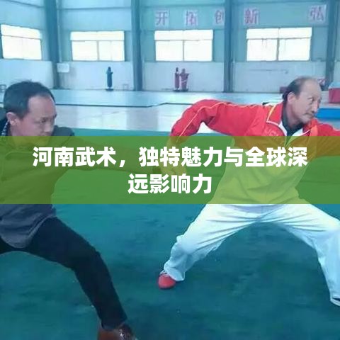 河南武术，独特魅力与全球深远影响力