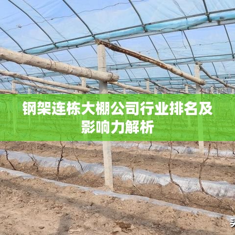钢架连栋大棚公司行业排名及影响力解析