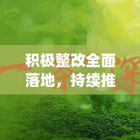 积极整改全面落地，持续推动进步的不竭动力