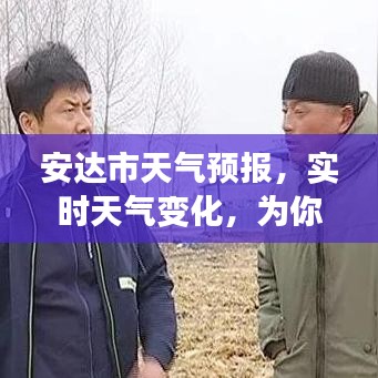 安达市天气预报，实时天气变化，为你的出行保驾护航！