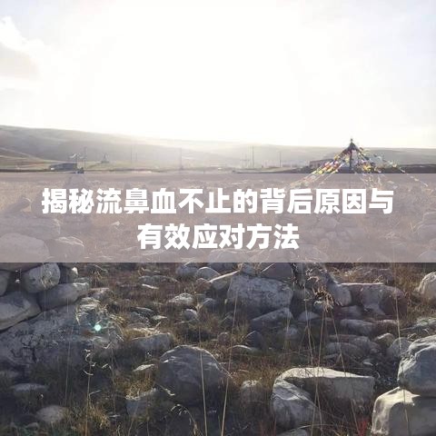 揭秘流鼻血不止的背后原因与有效应对方法