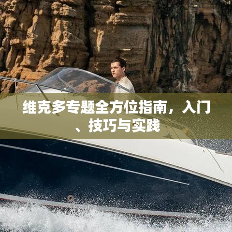 维克多专题全方位指南，入门、技巧与实践