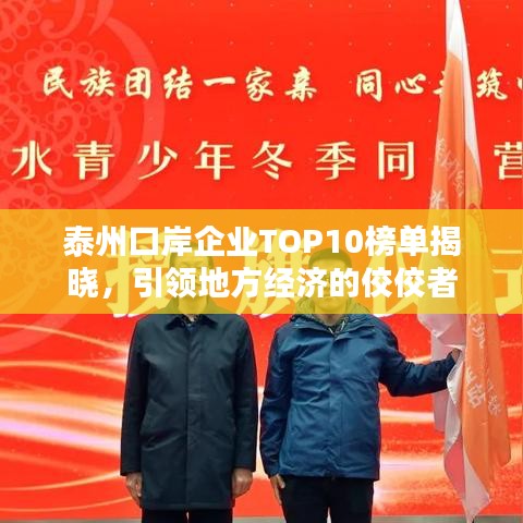 泰州口岸企业TOP10榜单揭晓，引领地方经济的佼佼者
