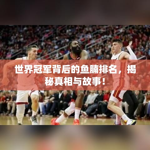 世界冠军背后的鱼腩排名，揭秘真相与故事！