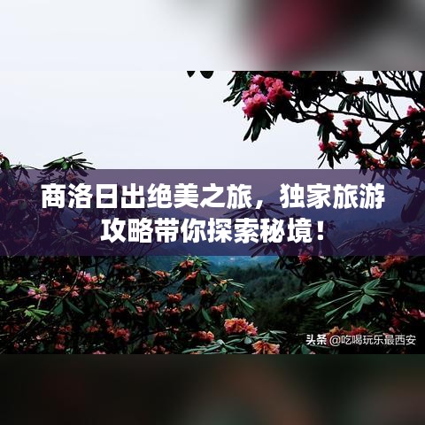 商洛日出绝美之旅，独家旅游攻略带你探索秘境！