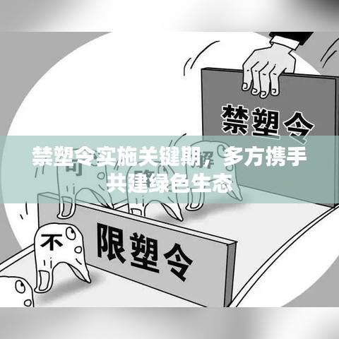 2025年6月3日