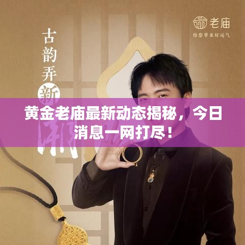 黄金老庙最新动态揭秘，今日消息一网打尽！
