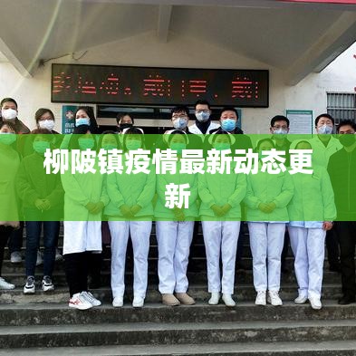 柳陂镇疫情最新动态更新