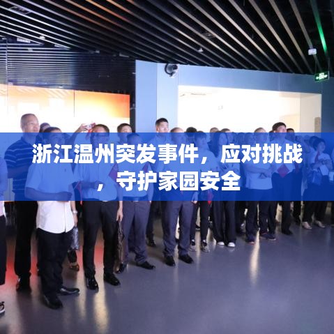 浙江温州突发事件，应对挑战，守护家园安全