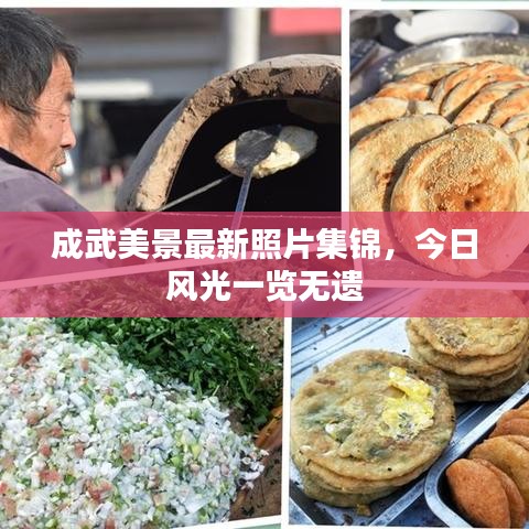 成武美景最新照片集锦，今日风光一览无遗