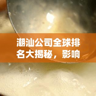 潮汕公司全球排名大揭秘，影响力不容小觑